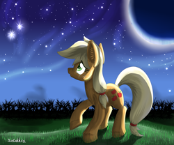 Size: 1500x1250 | Tagged: safe, artist:sintakhra, applejack, earth pony, pony, crying, ear fluff, grass, night, raised hoof, solo, unshorn fetlocks