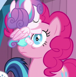 Size: 368x370 | Tagged: safe, screencap, pinkie pie, princess flurry heart, shining armor, earth pony, pony, unicorn, the crystalling, cropped, facehug, frown, princess facehugger, shocked, wide eyes