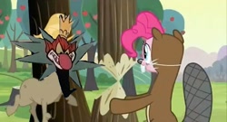 Size: 640x345 | Tagged: safe, edit, edited screencap, screencap, cranky doodle donkey, pinkie pie, beaver, donkey, earth pony, pony, a friend in deed, clothes, costume, the elm chanted forest