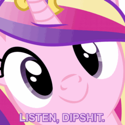 Size: 600x600 | Tagged: safe, artist:drpancakees, edit, princess cadance, alicorn, pony, animated, c:, close-up, dipshit, face, face of mercy, hi anon, listen here, looking at you, meme, smiling, vibrating, vulgar