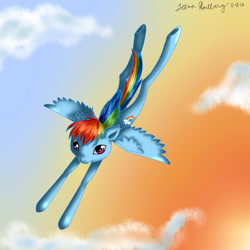 Size: 900x900 | Tagged: safe, artist:nekolover-nekogirl, rainbow dash, pegasus, pony, blue coat, female, flying, mare, multicolored mane, solo