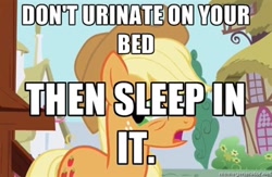 Size: 400x260 | Tagged: safe, applejack, earth pony, pony, bronyetiquette, forced meme, i hope no one thinks this is serious, meta, text, this is starting to get stupid