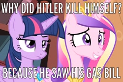 Size: 1446x961 | Tagged: safe, edit, edited screencap, screencap, princess cadance, twilight sparkle, twilight sparkle (alicorn), alicorn, pony, adolf hitler, caption, female, holocaust joke, image macro, mare, meme