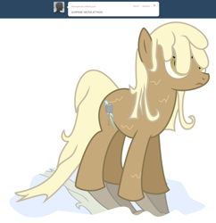 Size: 1280x1320 | Tagged: safe, artist:sintakhra, mjölna, earth pony, pony, ask, ask sandy pony, female, mare, solo, tumblr, wet mane