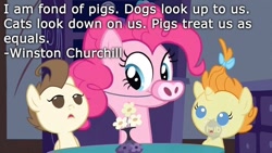 Size: 800x450 | Tagged: safe, artist:wisdomhoof, edit, edited screencap, screencap, pinkie pie, pound cake, pumpkin cake, earth pony, pig, pony, baby cakes, hub logo, piggie pie, quote, text, winston churchill