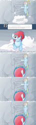 Size: 800x2776 | Tagged: safe, artist:feather, rainbow dash, pegasus, pony, ask, ask rainbow danger dash, comic, tumblr