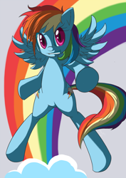 Size: 600x848 | Tagged: safe, artist:nac0n, rainbow dash, pegasus, pony, blue coat, female, mare, multicolored mane