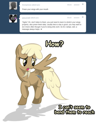 Size: 1280x1645 | Tagged: safe, artist:sintakhra, mjölna, pegasus, pony, ask sandy pony, race swap, solo