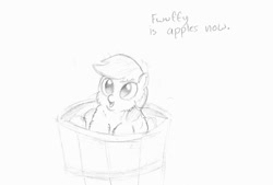 Size: 1144x772 | Tagged: safe, artist:awildfantasy, applejack, earth pony, fluffy pony, pony, apple, bucket, fluffyjack