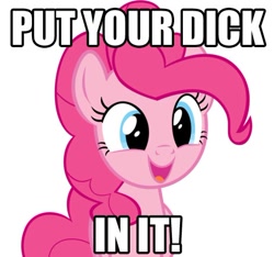 Size: 472x441 | Tagged: safe, pinkie pie, earth pony, pony, image macro, simple background, solo, vulgar, white background