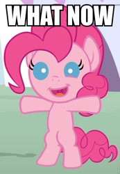 Size: 666x960 | Tagged: safe, pinkie pie, earth pony, pony, filly, image macro, roflbot, text