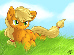 Size: 800x600 | Tagged: safe, artist:fizzy-dog, applejack, earth pony, pony, chest fluff, grass, prone, solo