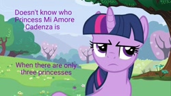 Size: 1280x720 | Tagged: safe, screencap, princess cadance, twilight sparkle, alicorn, pony, a canterlot wedding, image macro, meme, plothole, purple text, solo