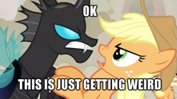 Size: 653x366 | Tagged: safe, edit, edited screencap, screencap, applejack, changeling, earth pony, pony, a canterlot wedding, caption, female, image macro, mare, out of context