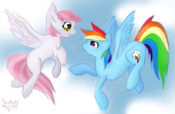 Size: 913x596 | Tagged: safe, artist:luxei, rainbow dash, oc, pegasus, pony, blank flank, flying