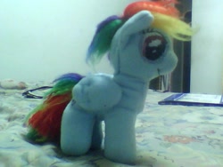 Size: 640x480 | Tagged: safe, artist:icy wings, rainbow dash, pegasus, pony, bed, female, irl, mare, photo, plushie, solo