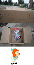 Size: 662x1240 | Tagged: safe, rainbow dash, pegasus, pony, fanfic:my little dashie, dashie meme, elmyra, evil people finding dash meme, exploitable meme, meme, photo, this will end in tears and/or death, tiny toon adventures