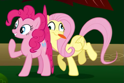 Size: 633x425 | Tagged: safe, fluttershy, pinkie pie, earth pony, pegasus, pony, derp, duo, duo female, female, mare, pink coat, pink mane, yellow mane