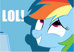 Size: 501x350 | Tagged: safe, rainbow dash, pegasus, pony, blue coat, female, lol, mare, multicolored mane