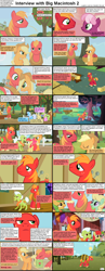 Size: 1282x3304 | Tagged: safe, apple bloom, applejack, big macintosh, cheerilee, daisy, granny smith, earth pony, pony, comic:celestia's servant interview, background pony, caption, comic, interview, male, stallion