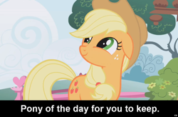 Size: 1024x672 | Tagged: safe, applejack, earth pony, pony, caption, cs captions, female, floppy ears, mare, solo