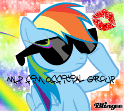Size: 400x358 | Tagged: safe, rainbow dash, pegasus, pony, animated, blingee, exploitable meme, meme, sunglasses