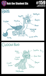 Size: 800x1319 | Tagged: safe, artist:sintakhra, gallus, ocellus, changedling, changeling, griffon, tumblr:studentsix, anatomy, anatomy guide, birb, cuddlebug, female, male, monochrome, tumblr