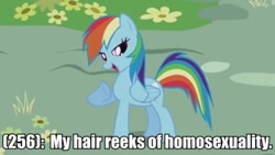 Size: 500x281 | Tagged: safe, edit, edited screencap, screencap, rainbow dash, pegasus, pony, caption, female, image macro, mare, open mouth, raised hoof, smiling, solo, text, texts from ponyville