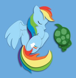 Size: 1584x1628 | Tagged: safe, artist:the-paper-pony, rainbow dash, tank, pegasus, pony, tortoise, blue coat, female, male, mare, multicolored mane