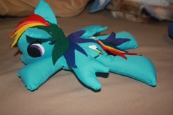 Size: 5184x3456 | Tagged: safe, artist:kith-cath, rainbow dash, pegasus, pony, beanie (plushie), female, irl, mare, photo, plushie, solo