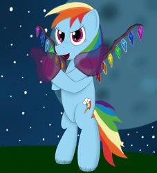 Size: 900x990 | Tagged: safe, rainbow dash, pegasus, pony, blue coat, crossover, female, flandre scarlet, mare, multicolored mane, solo, touhou