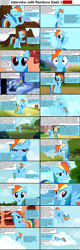 Size: 1282x4018 | Tagged: safe, rainbow dash, pegasus, pony, comic:celestia's servant interview, caption, comic, interview