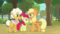 Size: 320x180 | Tagged: safe, derpibooru import, screencap, ahuizotl, apple bloom, applejack, biff, discord, doctor caballeron, doctor whooves, fluttershy, goldie delicious, granny smith, matilda, pinkie pie, rainbow dash, rarity, spike, starlight glimmer, sunburst, trixie, twilight sparkle, twilight sparkle (alicorn), alicorn, donkey, draconequus, dragon, earth pony, pegasus, pony, unicorn, a horse shoe-in, a trivial pursuit, a-dressing memories, daring doubt, dragon dropped, going to seed, student counsel, the ending of the end, spoiler:a-dressing memories, spoiler:a-dressing memories spoiler:cakes for the memories, spoiler:cakes for the memories, animated, apple, apple tree, bag, boop, boop compilation, cakes for the memories, carousel boutique, compilation, female, food, gif, glasses, glowing eyes, henchmen, male, mare, messy hair, messy mane, noseboop, saddle bag, stallion, sugarcube corner, supercut, tree, twilight snapple, winged spike