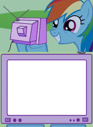 Size: 563x771 | Tagged: safe, rainbow dash, pegasus, pony, blank, exploitable meme, meme, template, tv meme