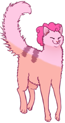 Size: 361x680 | Tagged: safe, artist:vriskarkat, pinkie pie, cat, female, pink hair, simple background, solo, species swap