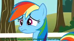 Size: 856x481 | Tagged: safe, rainbow dash, pegasus, pony, caption, obligatory pony, sad, tfw, tumblr