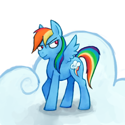 Size: 1600x1600 | Tagged: safe, artist:fiery-biscuit, rainbow dash, pegasus, pony, blue coat, female, mare, multicolored mane