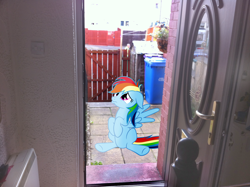 Size: 2592x1936 | Tagged: safe, artist:ponywithacrispyface, rainbow dash, pony, door, fence, irl, outdoors, photo, ponies in real life, sad, vector