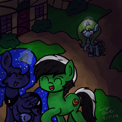 Size: 1000x1000 | Tagged: safe, artist:sketchydesign78, princess luna, oc, oc:racer hooves, oc:sketchy design, alicorn, pony, blushing, couple, night, ponyville