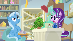 Size: 1920x1080 | Tagged: safe, derpibooru import, screencap, phyllis, starlight glimmer, trixie, pony, unicorn, a horse shoe-in, duo, female, magic, magic aura, mare, philodendron, plant, potted plant, starlight's office, telekinesis