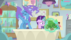 Size: 1920x1080 | Tagged: safe, derpibooru import, screencap, phyllis, starlight glimmer, trixie, pony, unicorn, a horse shoe-in, cape, clothes, desk, eyes closed, female, hat, magic, magic aura, mare, philodendron, plant, potted plant, telekinesis, trixie's cape, trixie's hat