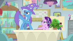 Size: 1920x1080 | Tagged: safe, derpibooru import, screencap, phyllis, starlight glimmer, trixie, pony, unicorn, a horse shoe-in, annoyed, cape, clothes, desk, female, hat, mare, philodendron, plant, potted plant, trixie's cape, trixie's hat