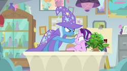 Size: 1920x1080 | Tagged: safe, derpibooru import, screencap, phyllis, starlight glimmer, trixie, pony, unicorn, a horse shoe-in, boop, cape, clothes, desk, duo, female, hat, mare, philodendron, plant, potted plant, trixie's cape, trixie's hat