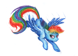 Size: 1024x740 | Tagged: safe, artist:gonedreamer, rainbow dash, pegasus, pony, blue coat, female, mare, multicolored mane, simple background, solo, white background, wings