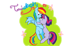 Size: 1024x622 | Tagged: safe, artist:xxxrainbowblitzxxx, rainbow dash, twilight sparkle, pegasus, pony, shipping, twidash