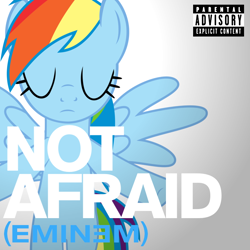 Size: 800x800 | Tagged: safe, artist:adrianimpalamata, rainbow dash, pegasus, pony, album cover, eminem, not afraid (eminem), text