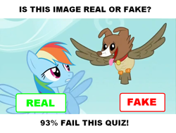 Size: 852x647 | Tagged: safe, edit, edited screencap, screencap, owlowiscious, rainbow dash, winona, pegasus, pony, may the best pet win, allpet, flying, image macro, parody