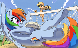 Size: 1920x1182 | Tagged: safe, artist:yoka-the-changeling, applejack, rainbow dash, earth pony, pegasus, pony, female, mare, volleyball