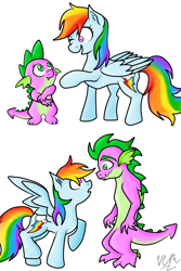 Size: 800x1200 | Tagged: safe, artist:tomcolt15, rainbow dash, spike, dragon, pegasus, pony, female, male, older, rainbowspike, shipping, straight, wingboner