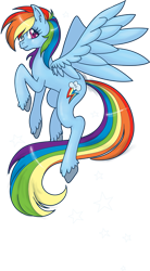 Size: 497x900 | Tagged: safe, artist:hezaa, rainbow dash, pegasus, pony, blue coat, female, mare, multicolored mane, solo, unshorn fetlocks